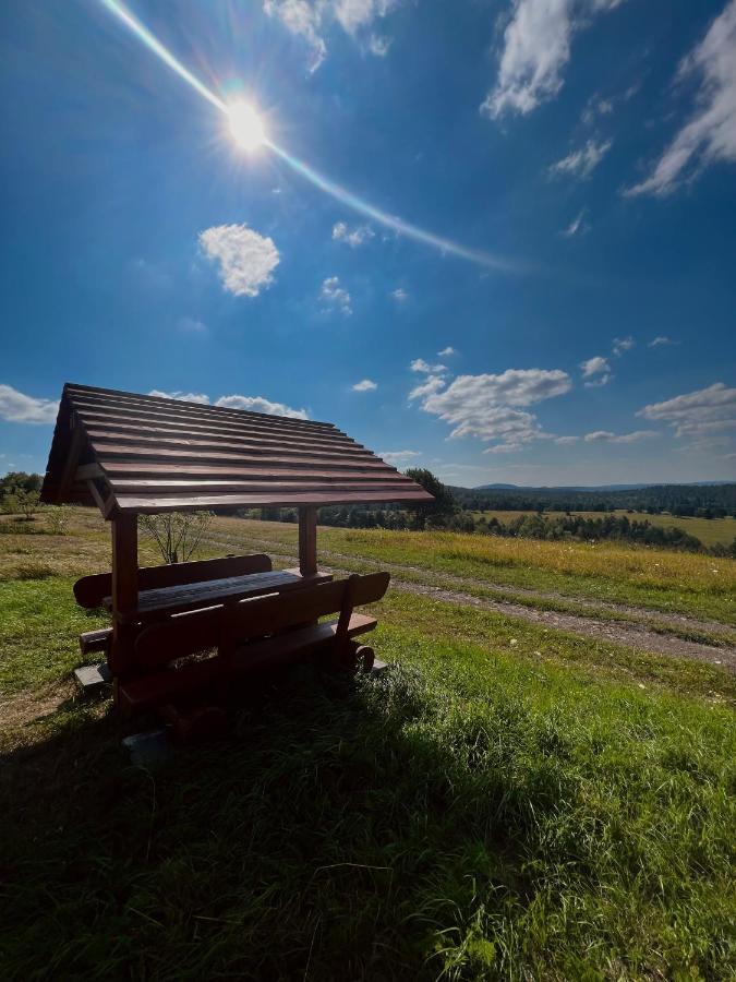 Domki U Bejdaka 789- 039 - 689 Villa Bereznica Wyzna Kültér fotó