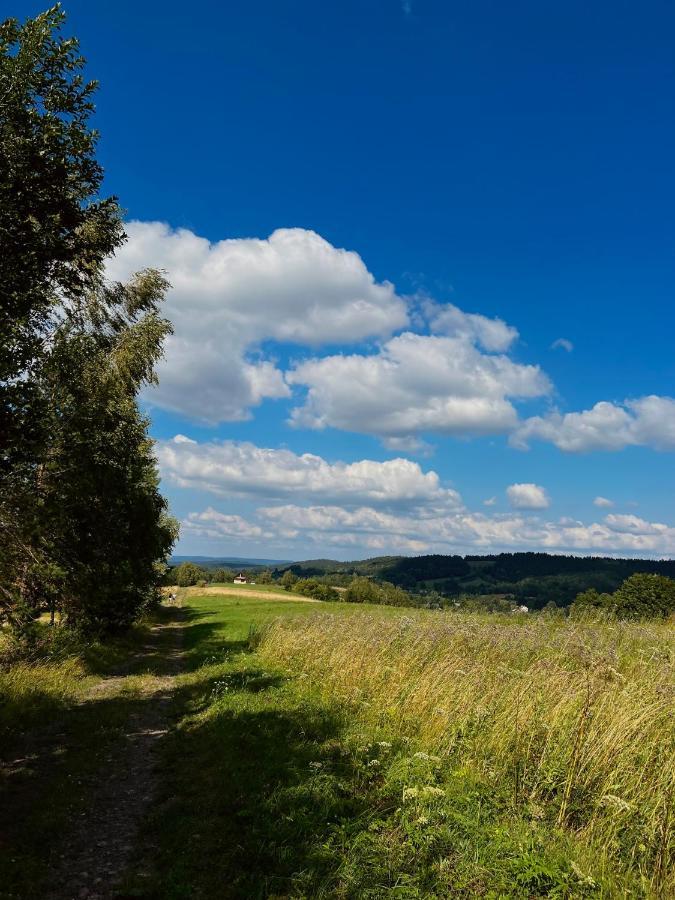 Domki U Bejdaka 789- 039 - 689 Villa Bereznica Wyzna Kültér fotó